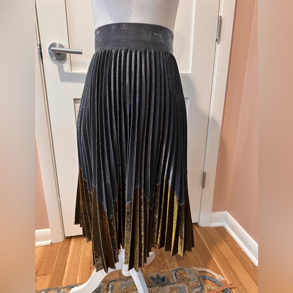 HD in Paris Black with Gold Hem Pleated Midi Skirt